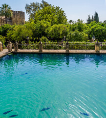 Ornamental fish ponds and wooded gardens leading to old town fortifications in Cordoba, Spain in the summertime