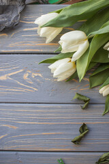 White tulips on a blue wooden background. Top view with copy space.