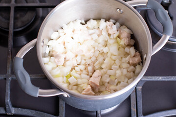 Meat and onions in a pot
