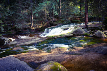 Lesna rzeka © MagicEarthPlanet
