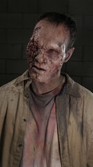 Obraz premium Scarred Zombie #1