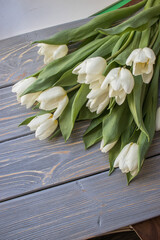 White tulips on a blue wooden background. Top view with copy space.