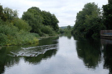 Fototapeta na wymiar river in view