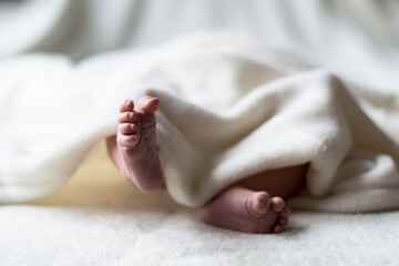  baby feet covered with a white blanket on a bedspread. crooked toes of a newborn child.