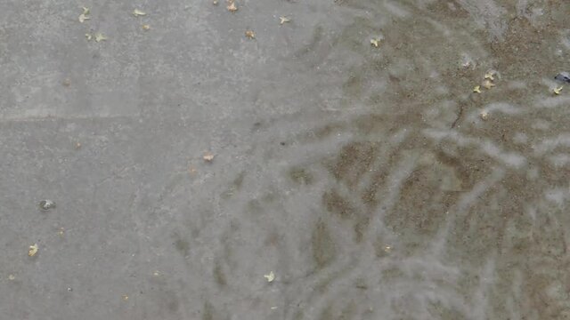 Raindrops spread out in circles on the surface of a puddle on the concrete