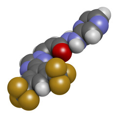 Selinexor cancer drug molecule. 3D rendering. Atoms are represented as spheres with conventional color coding: hydrogen (white), carbon (grey), nitrogen (blue), oxygen (red), fluorine (gold).