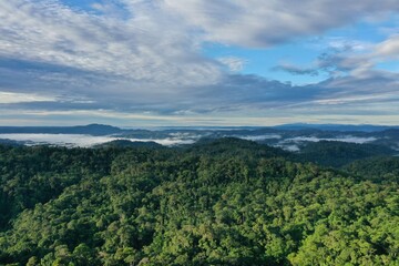 Naklejka premium Aerial view of a bright green tropical rainforest with clouds covering the tree canopy and a blue sky with some clouds
