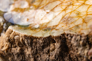 Partially molten quartz. Dirty vitrified glass material.