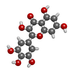 Myricetin flavonoid molecule. 3D rendering. Atoms are represented as spheres with conventional color coding: hydrogen (white), carbon (grey), oxygen (red).