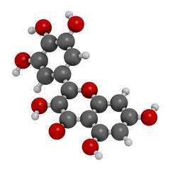 Myricetin flavonoid molecule. 3D rendering. Atoms are represented as spheres with conventional color coding: hydrogen (white), carbon (grey), oxygen (red).
