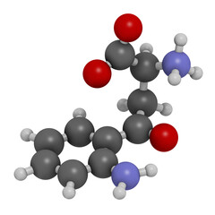Kynurenine molecule. 3D rendering. Atoms are represented as spheres with conventional color coding: hydrogen (white), carbon (grey), oxygen (red), nitrogen (blue).