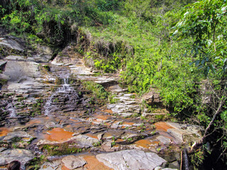 El rio en el bosque