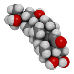Ecdysone insect molting prohormone. 3D rendering. Atoms are represented as spheres with conventional color coding: hydrogen (white), carbon (grey), oxygen (red).