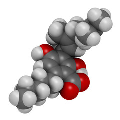 Cannabigerolic acid or CBGA cannabinoid molecule. 3D rendering. Atoms are represented as spheres with conventional color coding: hydrogen (white), carbon (grey), oxygen (red).