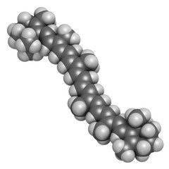 Obraz premium Beta-carotene pigment molecule. 3D rendering. Atoms are represented as spheres with conventional color coding: hydrogen (white), carbon (grey).