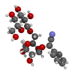 Amygdalin 3D rendering. Atoms are represented as spheres with conventional color coding: hydrogen (white), carbon (grey), oxygen (red), nitrogen (blue).