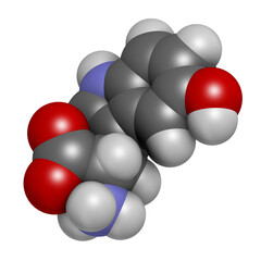 5-Hydroxytryptophan amino acid molecule. 3D rendering. Atoms are represented as spheres with conventional color coding: hydrogen (white), carbon (grey), oxygen (red), nitrogen (blue).