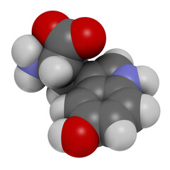 5-Hydroxytryptophan amino acid molecule. 3D rendering. Atoms are represented as spheres with conventional color coding: hydrogen (white), carbon (grey), oxygen (red), nitrogen (blue).