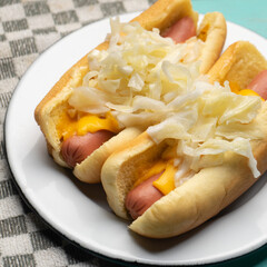 montreal hot dog with cabbage on turquoise background