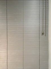 Full frame partial view of the inside window blinds of a door with glass panes