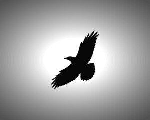 Crow Silhouette on White Background. Isolated Vector Animal Template for Logo Company, Icon, Symbol etc