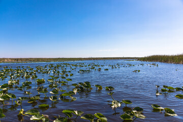 The Everglades National Park, Florida, USA