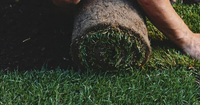 Man Laying Out Rolls Of Sod. Making A Lawn. SLOW MOTION. Unrecognizable gardener hands creating a perfect turf of green grass. Person working on a landscape design. 