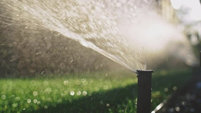 Watering the green grass. SLOW MOTION. Sparkling fresh water spraying out of sprinkler on the lawn. Summer gardening. Resisting draught and water crisis. Eco technology.
