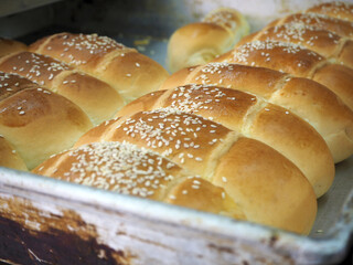 travel in Hongkong Kowloon