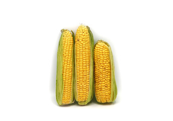 Several ears of corn on a light background. Natural product. Natural structure. Natural color. Close-up.