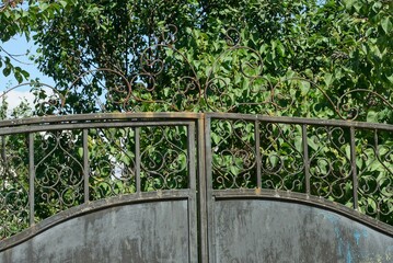 part of a gray metal gate with a wrought iron pattern on a background of green tree branches