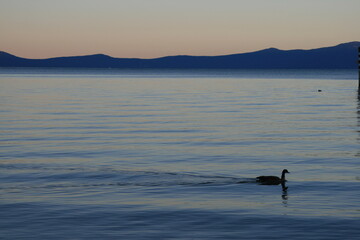 Sunset at Lake Tahoe