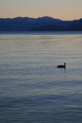 Sunset at Lake Tahoe