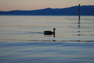 Sunset at Lake Tahoe