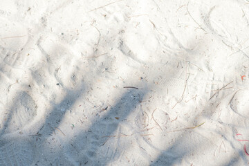 Obraz premium Sand on beach with palm leaf shadows background with day light