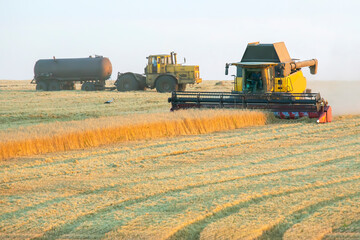 The harvester is harvesting wheat in the field. grain preparation. agronomy and agriculture.