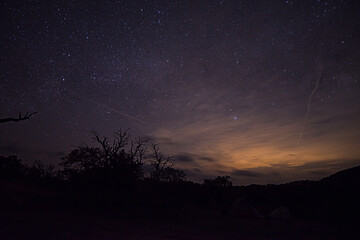 Texas starry night sky