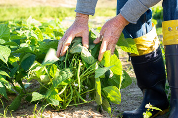 farmer ecological nature garden