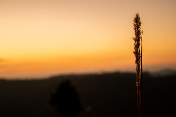 Por do Sol na montanha