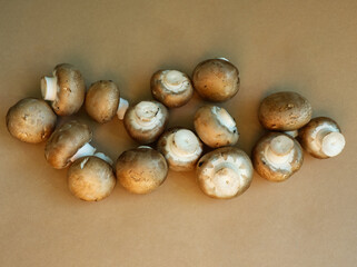 Fresh brown champignons on brown background. Agriculture edible mushrooms. Minimal simple modern food concept.