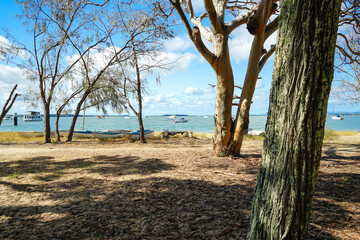 View between trees on the foreshore, to the water at high tide, with boats on the shore and in the sea. Main Beach, Coochiemudlo Island, Queensland, Australia.