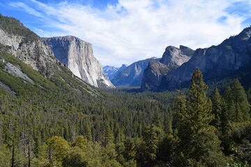 Fototapeta na wymiar Sunny autumn day in Yosemite Valley, California 