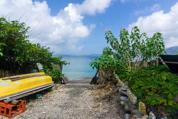 亜熱帯の海、奄美大島