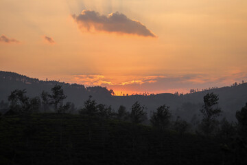 the atmosphere of the sunset behind the hills of the tea plantations.