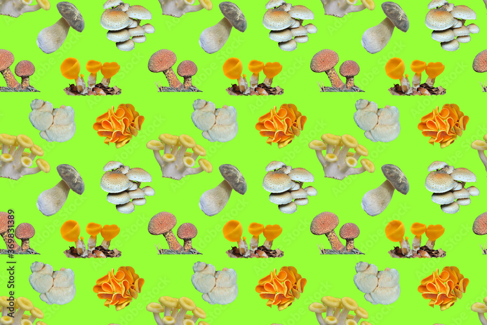 Sticker Various edible mushrooms. Seamless pattern.