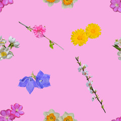 Various cultivated and uncultivated flowers. Seamless pattern.
