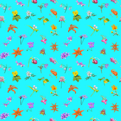 Various uncultivated flowers. Seamless pattern.