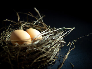 Chicken nest with eggs photo low light background