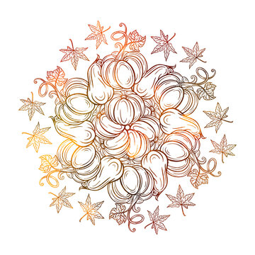 Black and white autumn ornament. Pumpkins and autumn leaves illustration.