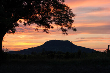 silhouette of Badacsony and a tree at sunset